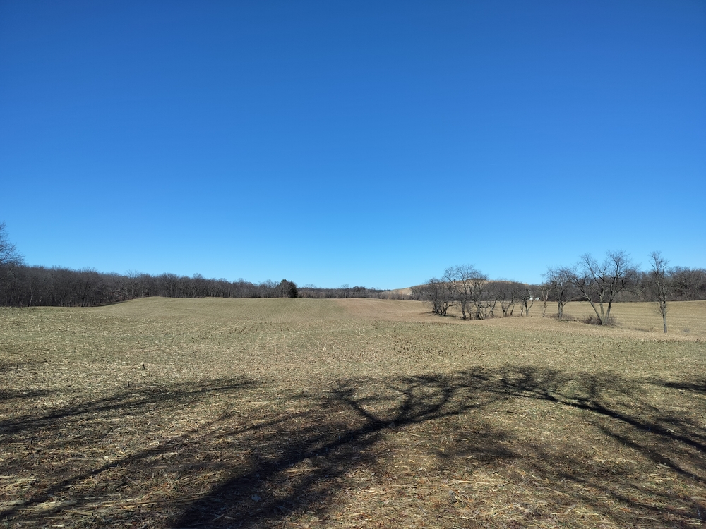 Field in Wisconsin.